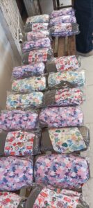 Suriname period poverty image