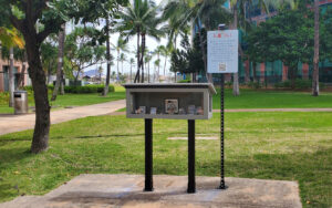 Kathryn Ko, M.D., MFA