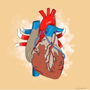 Kella L. Vangsness, D.O.