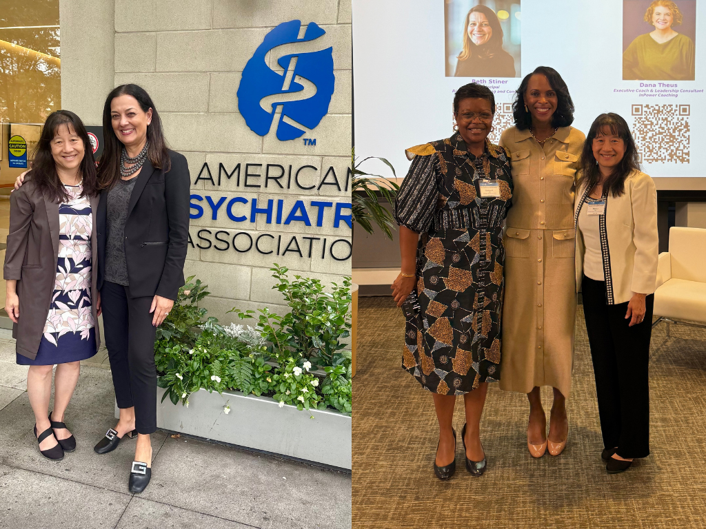 Leadership Is a Journey: Reflections from the Inaugural APA Women Physicians Leadership Institute